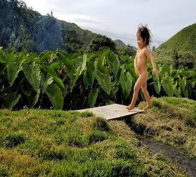 Hawaii valley mountains